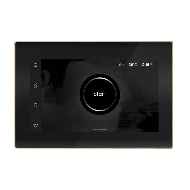iSteamX Steam Shower Control and Steamhead