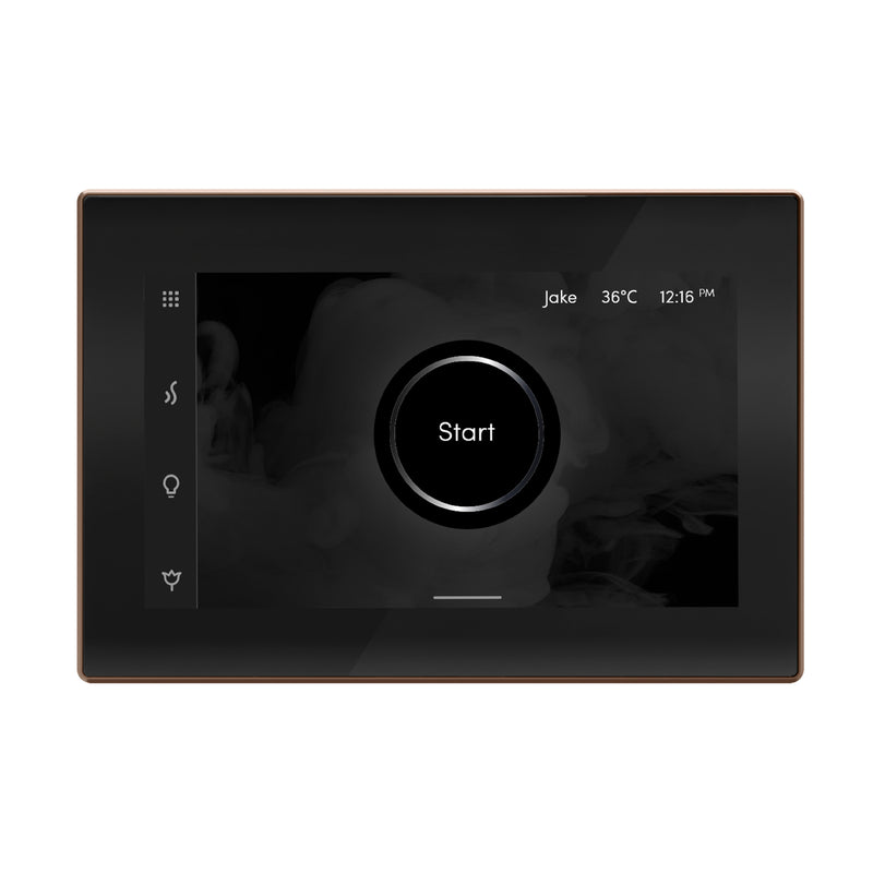 iSteamX Steam Shower Control and Steamhead