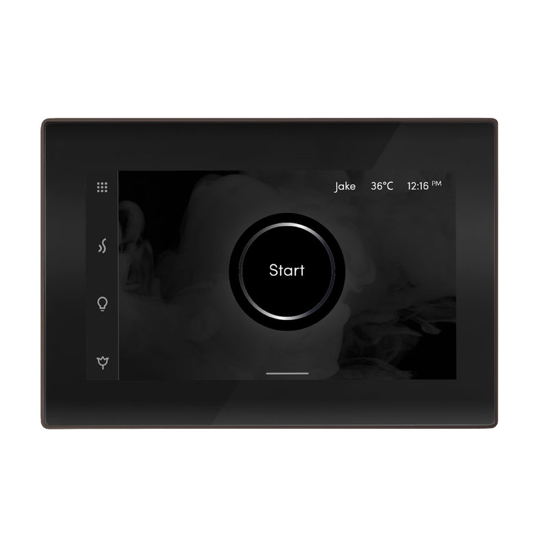 iSteamX Steam Shower Control and Steamhead