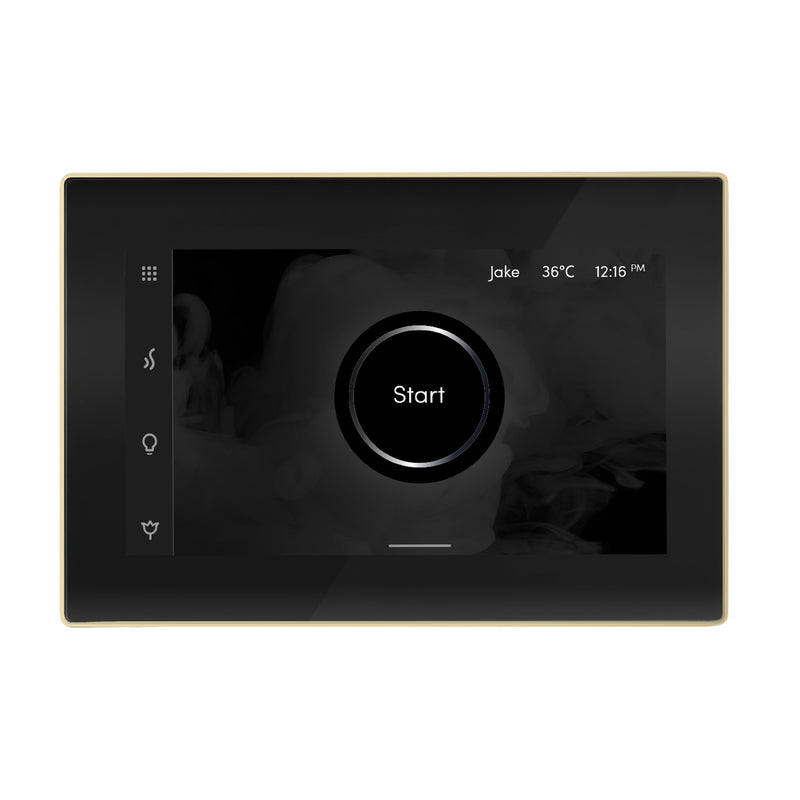 iSteamX Steam Shower Control and Steamhead