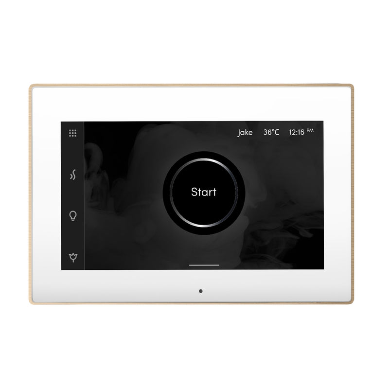 iSteamX Steam Shower Control and Steamhead