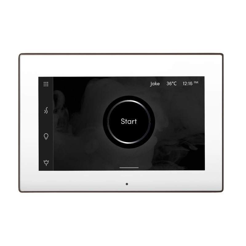 iSteamX Steam Shower Control and Steamhead