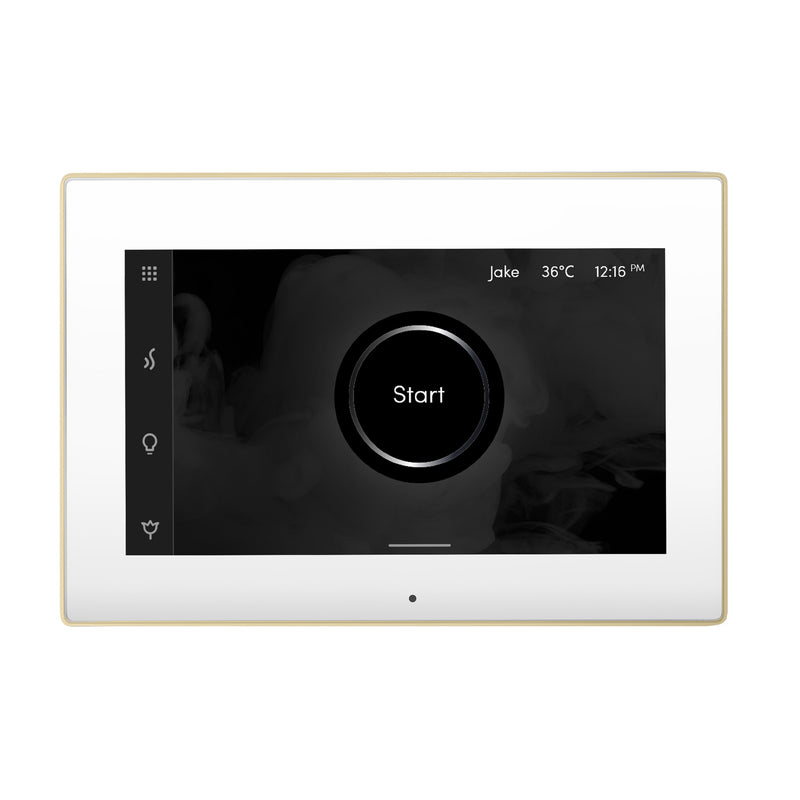 iSteamX Steam Shower Control and Steamhead
