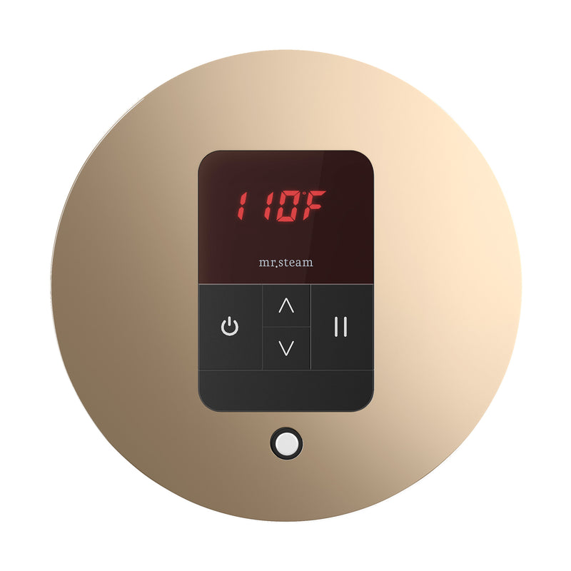 iTempo Round Steam Shower Control and Steamhead