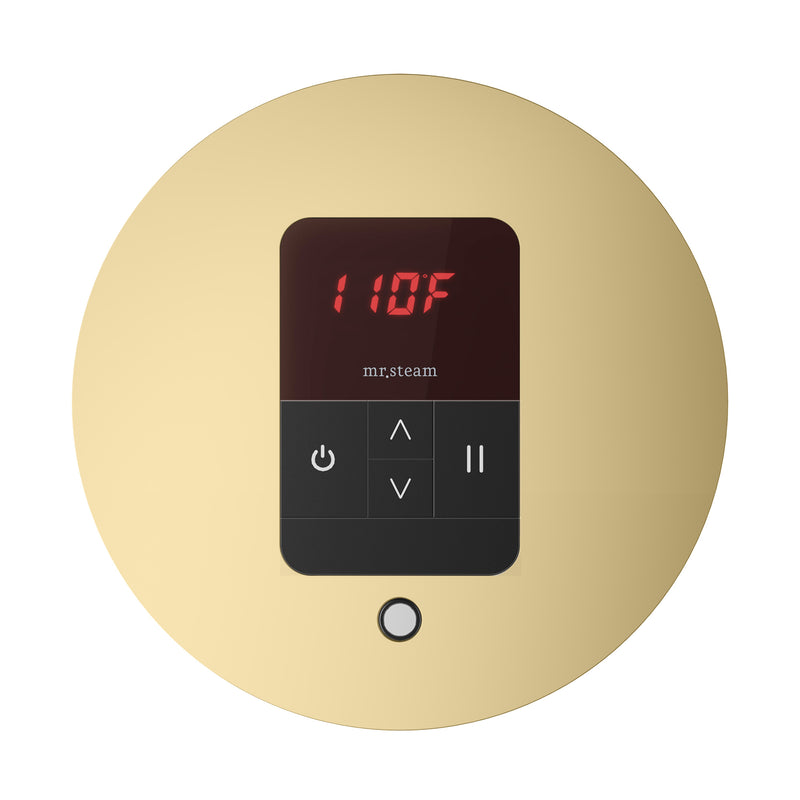 iTempo Round Steam Shower Control and Steamhead