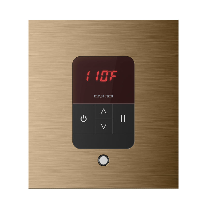 iTempo Square Steam Shower Control and Steamhead