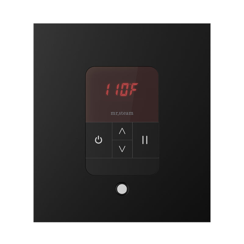 iTempo Square Steam Shower Control and Steamhead