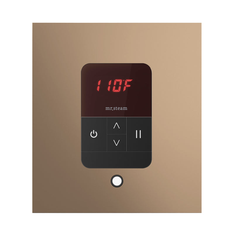 iTempo Square Steam Shower Control and Steamhead