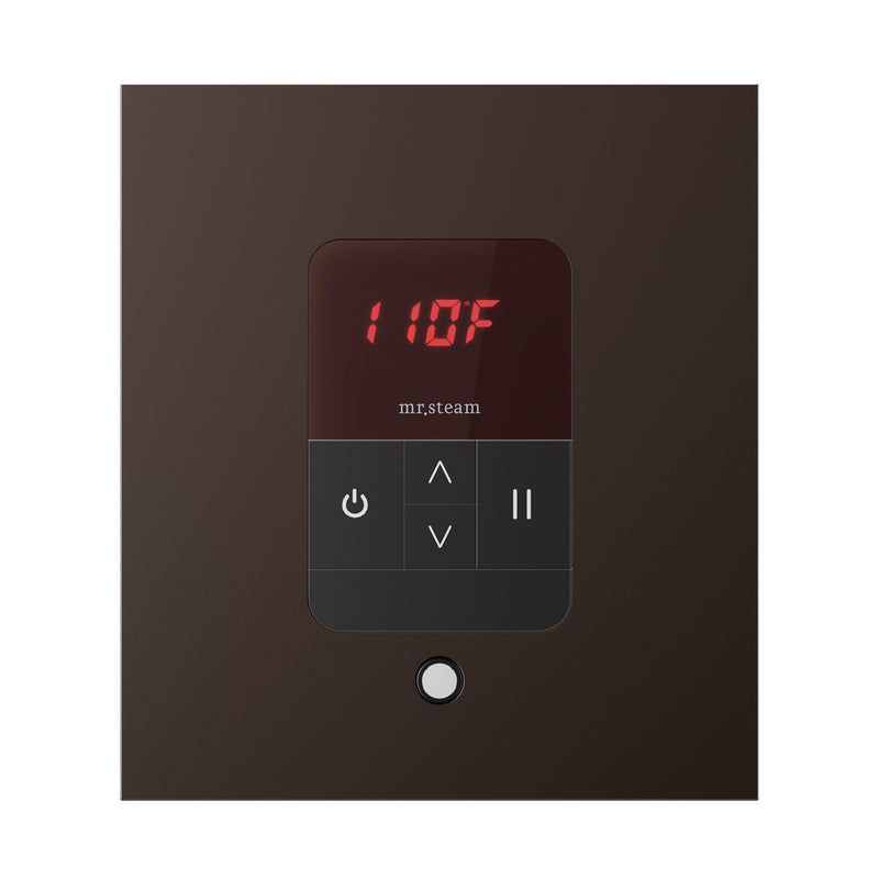 iTempo Square Steam Shower Control and Steamhead
