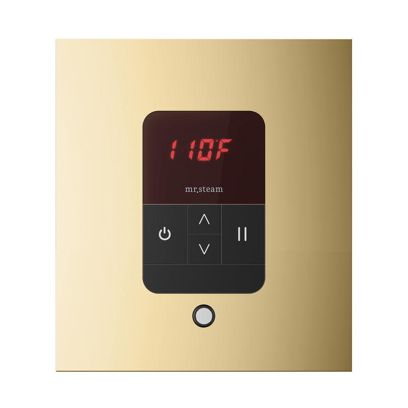iTempo Square Steam Shower Control and Steamhead