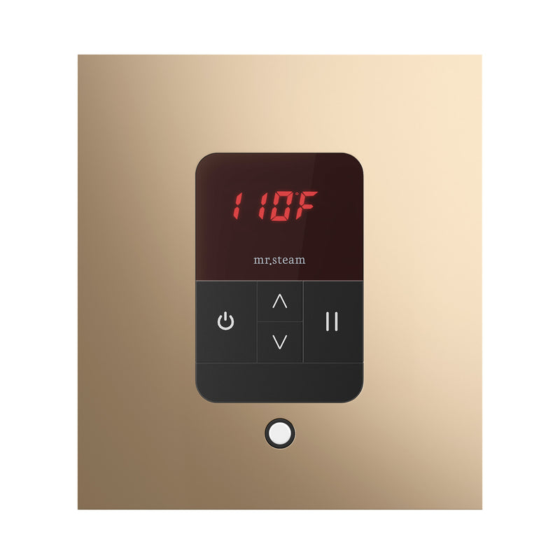 iTempo Square Steam Shower Control and Steamhead
