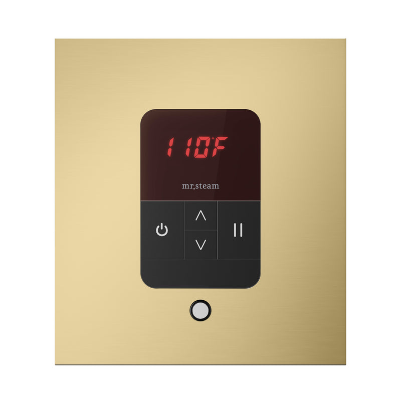 iTempo Square Steam Shower Control and Steamhead
