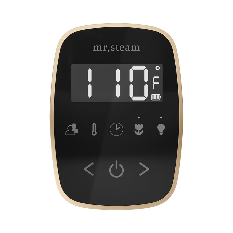 TempoFlex Steam Shower Control and Steamhead