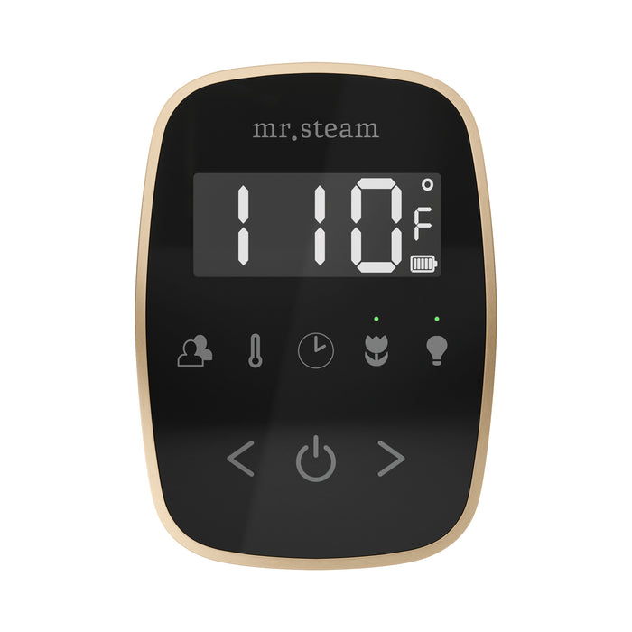 TempoFlex Steam Shower Control and Steamhead