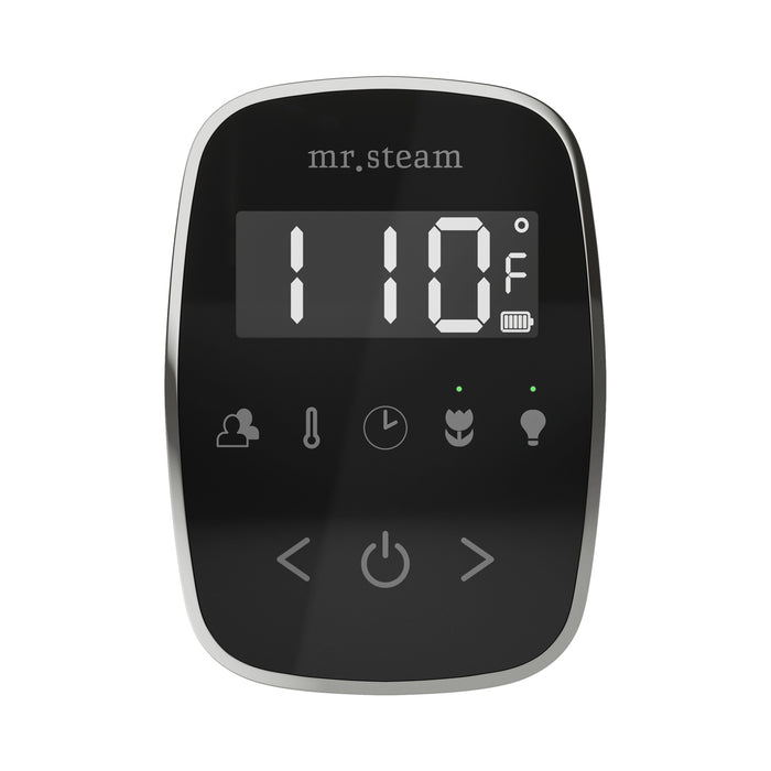 TempoFlex Steam Shower Control and Steamhead
