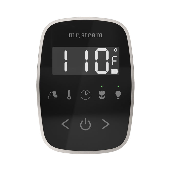 TempoFlex Steam Shower Control and Steamhead