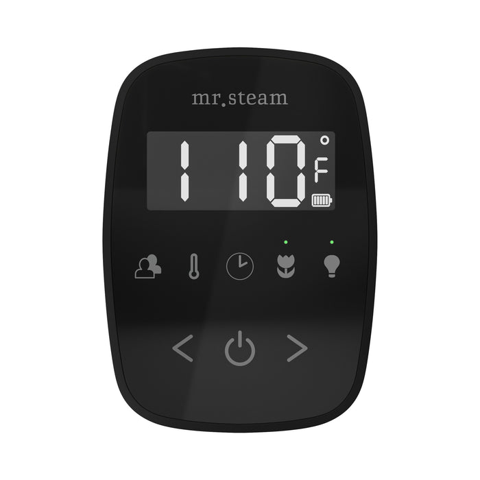 TempoFlex Steam Shower Control and Steamhead