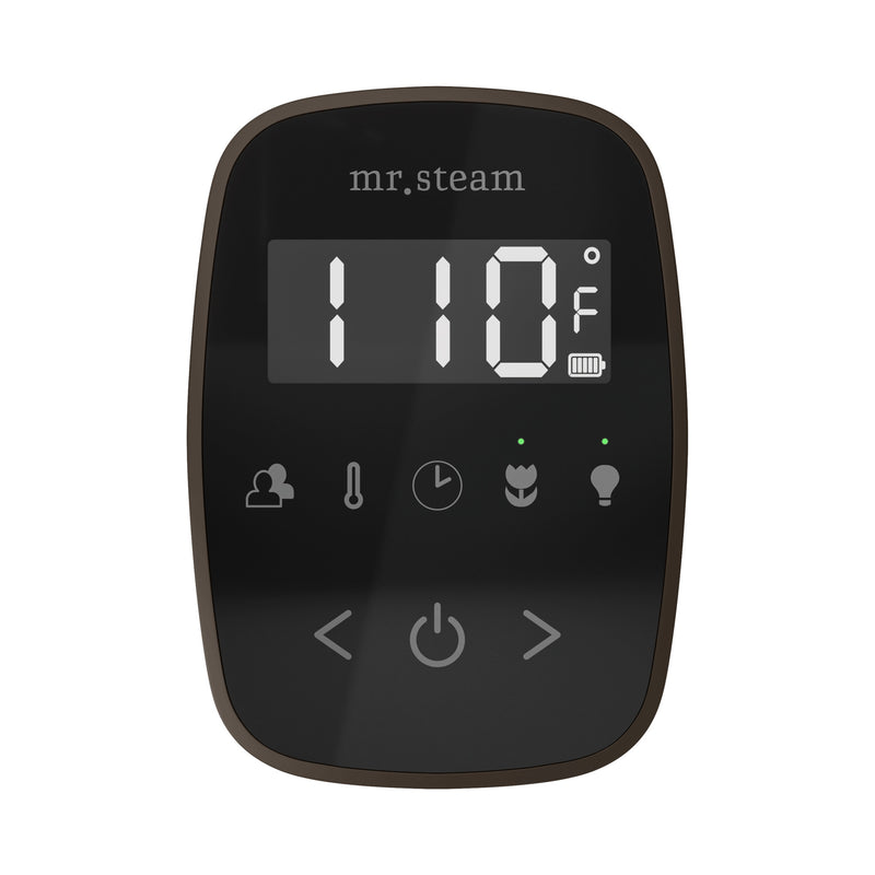 TempoFlex Steam Shower Control and Steamhead