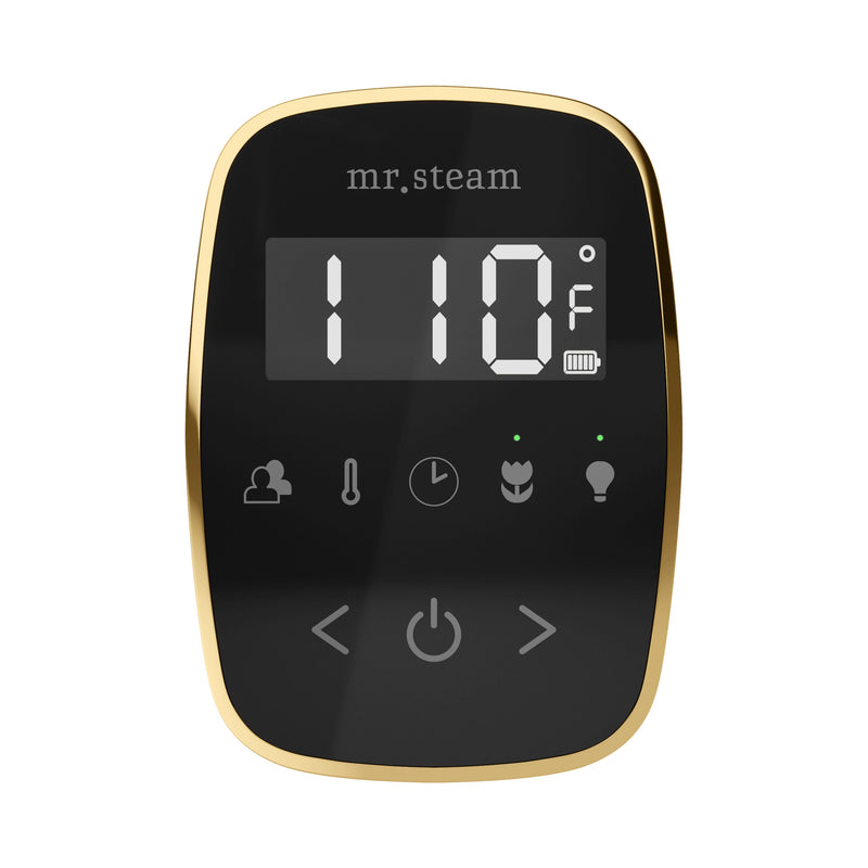 TempoFlex Steam Shower Control and Steamhead