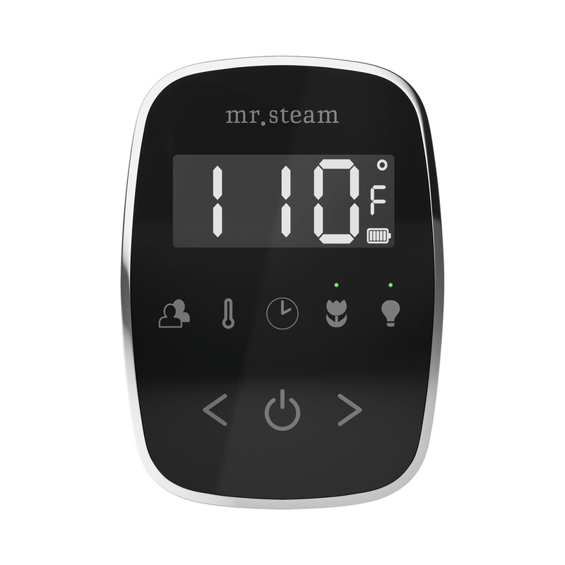TempoFlex Steam Shower Control and Steamhead