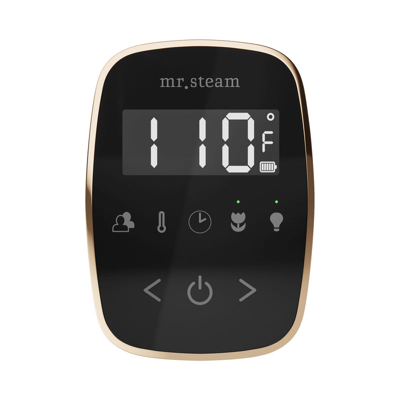 TempoFlex Steam Shower Control and Steamhead