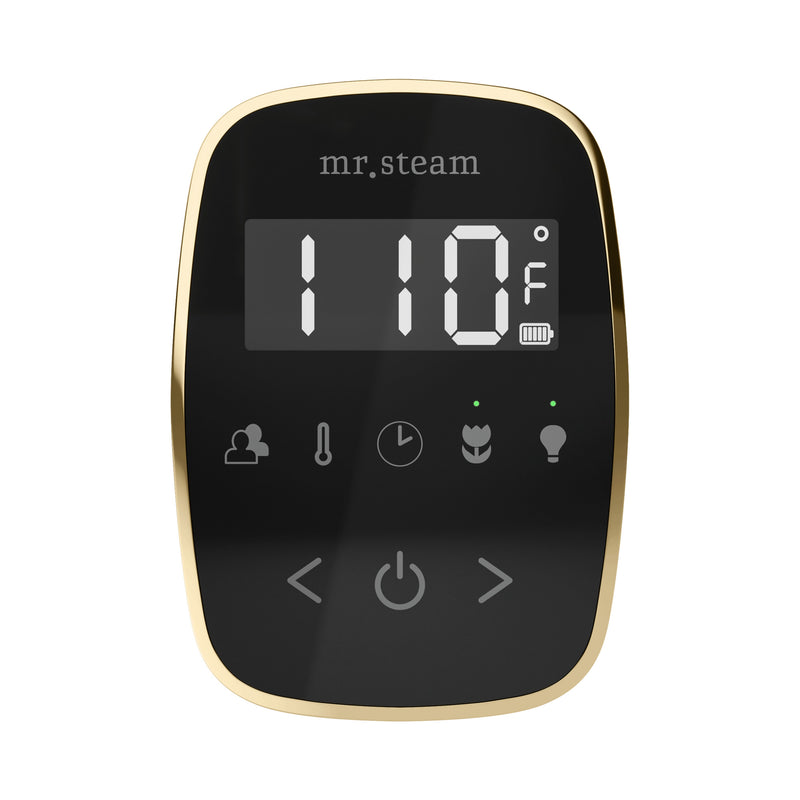 TempoFlex Steam Shower Control and Steamhead