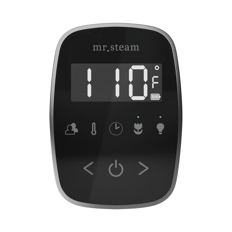 TempoFlex Steam Shower Control and Steamhead