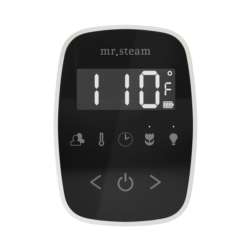 TempoFlex Steam Shower Control and Steamhead