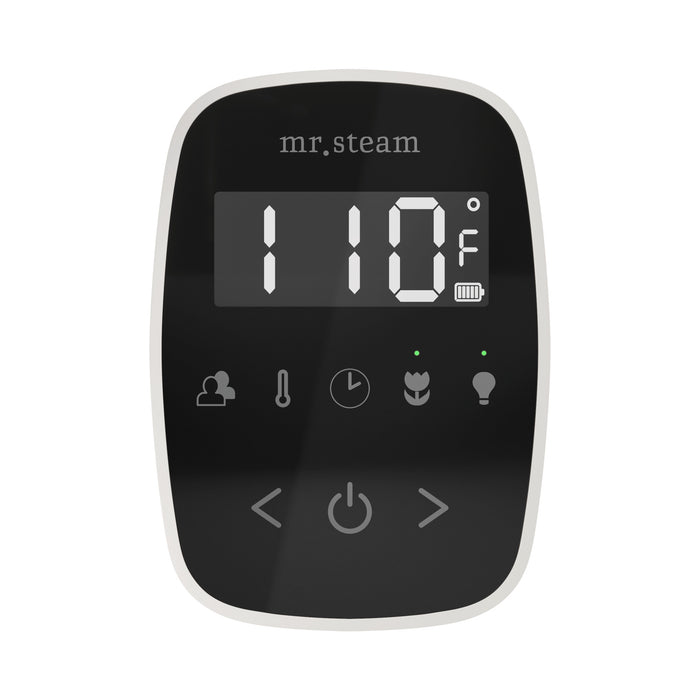 TempoFlex Steam Shower Control and Steamhead