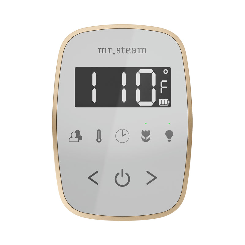 TempoFlex Steam Shower Control and Steamhead