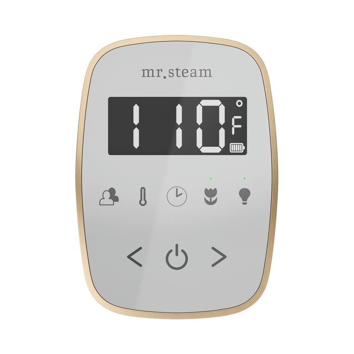 TempoFlex Steam Shower Control and Steamhead