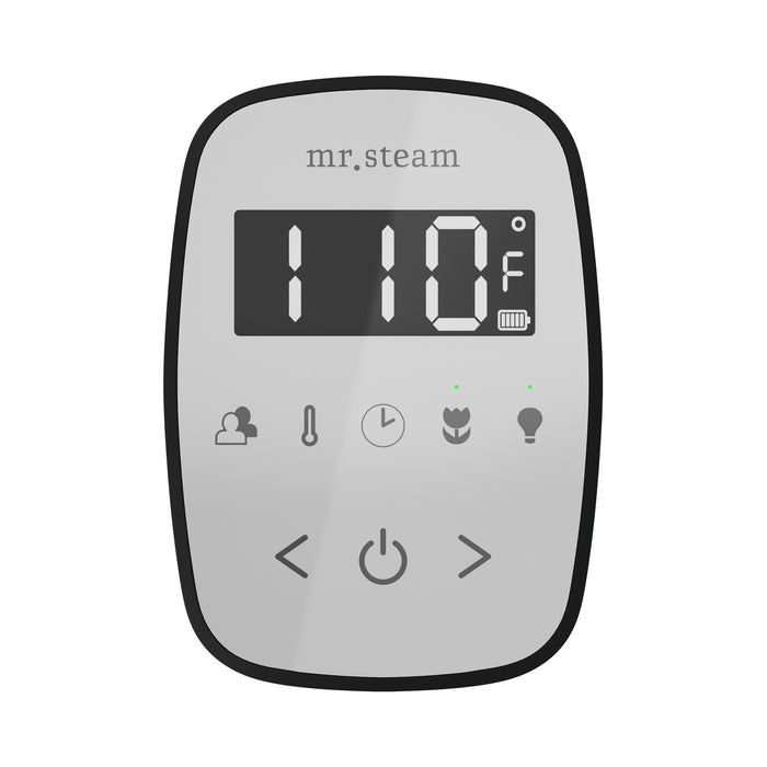 TempoFlex Steam Shower Control and Steamhead