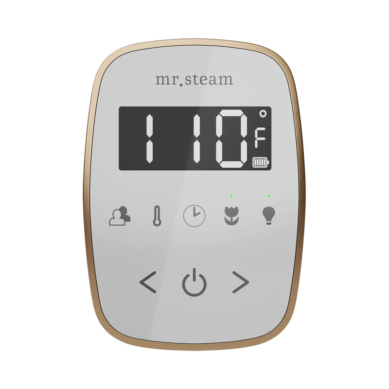 TempoFlex Steam Shower Control and Steamhead
