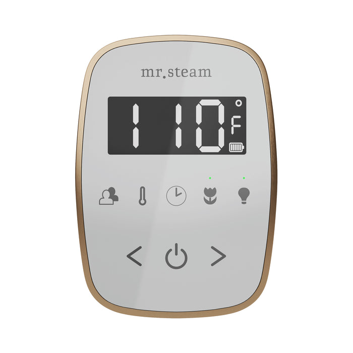 TempoFlex Steam Shower Control and Steamhead