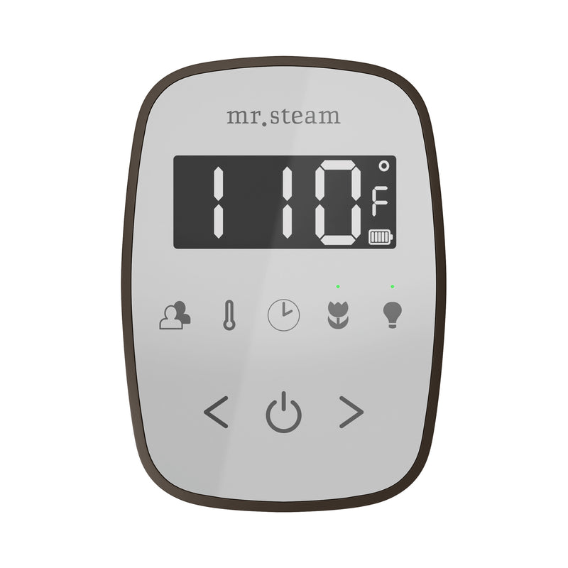 TempoFlex Steam Shower Control and Steamhead