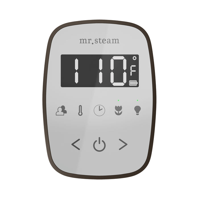 TempoFlex Steam Shower Control and Steamhead