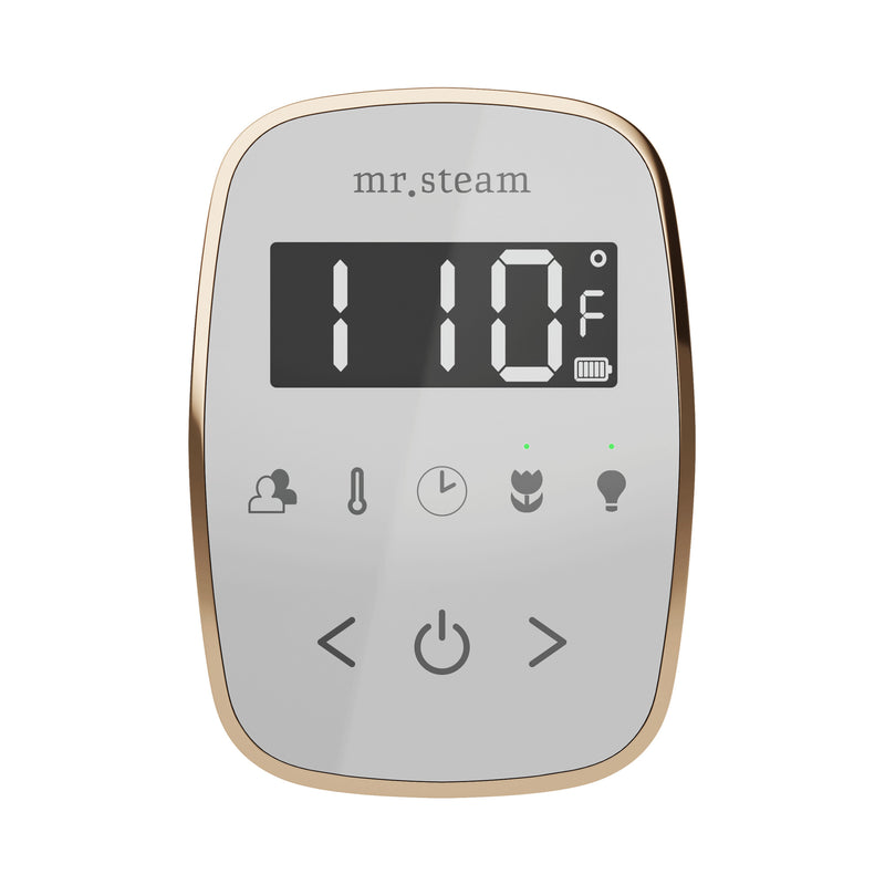 TempoFlex Steam Shower Control and Steamhead