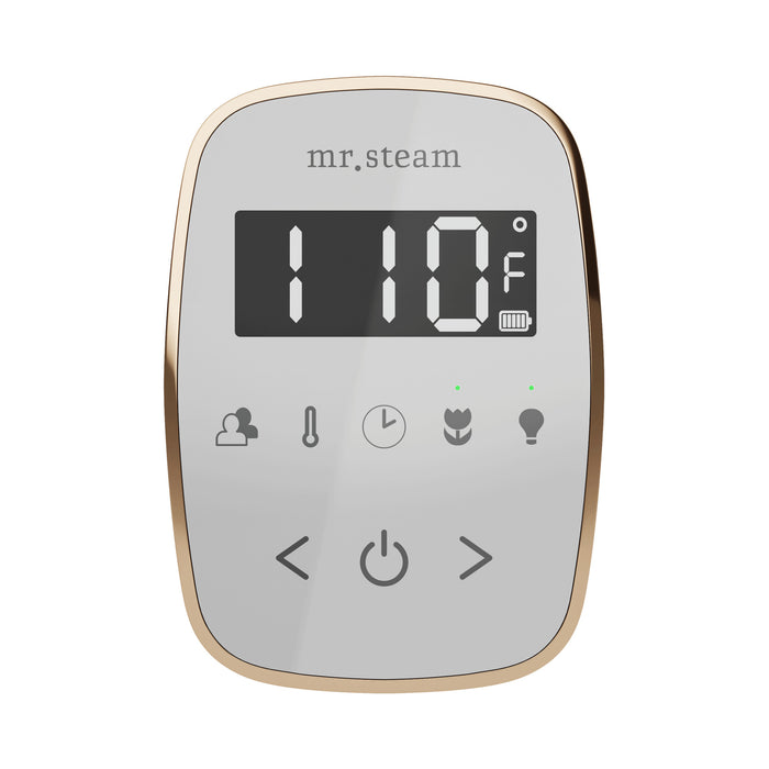 TempoFlex Steam Shower Control and Steamhead
