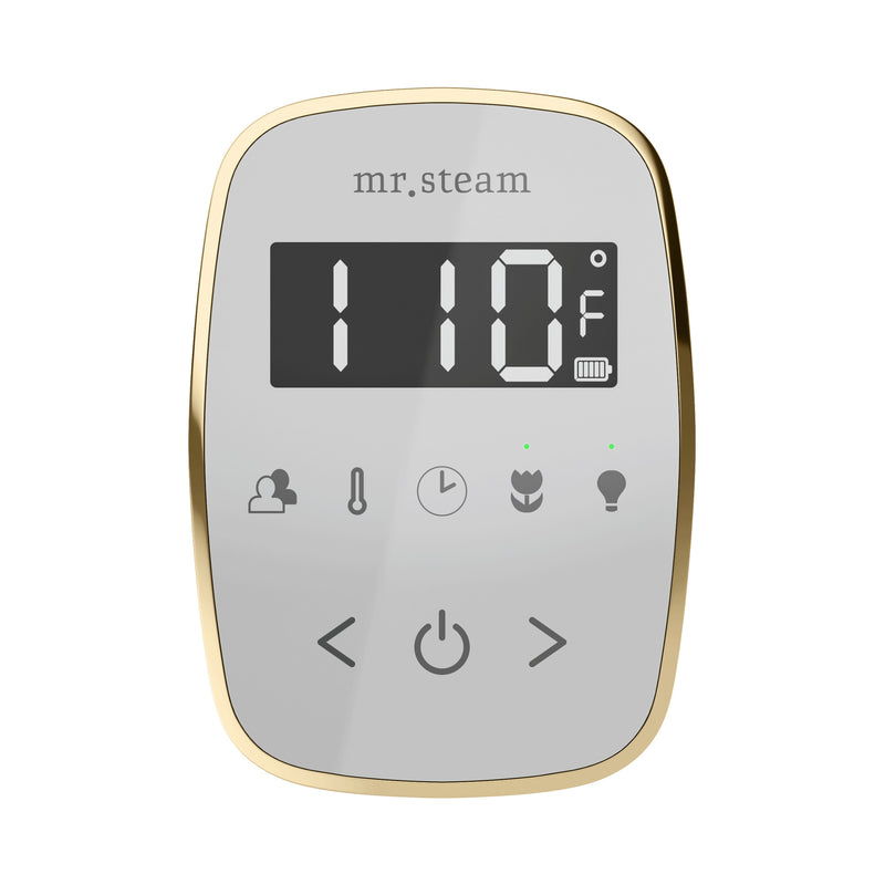 TempoFlex Steam Shower Control and Steamhead