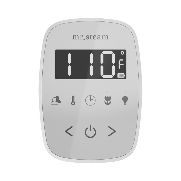 TempoFlex Steam Shower Control and Steamhead