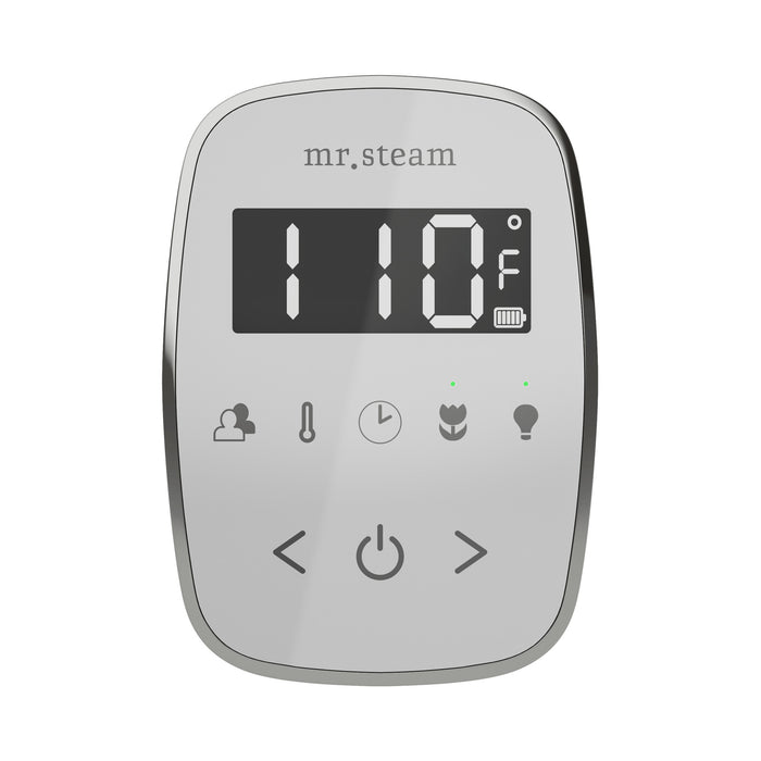 TempoFlex Steam Shower Control and Steamhead