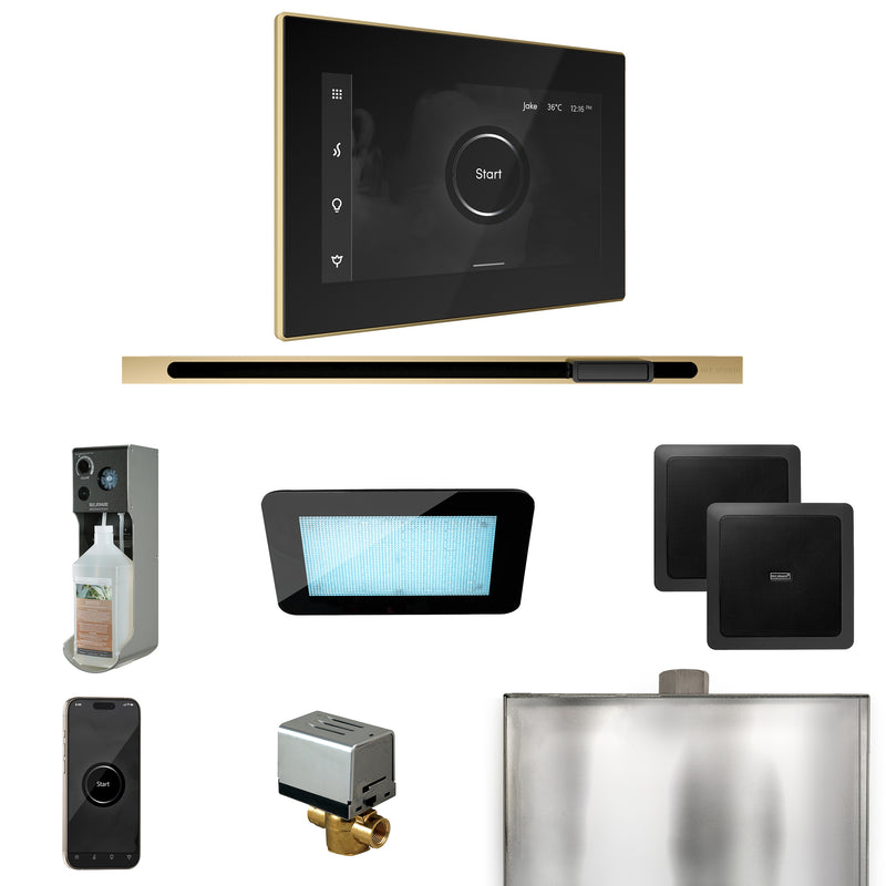 XDream Steam Shower Control Package with iSteamX Control and Linear Steamhead