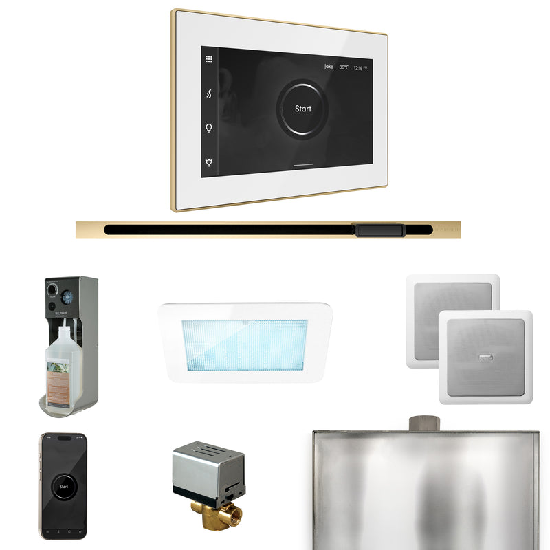 XDream Steam Shower Control Package with iSteamX Control and Linear Steamhead