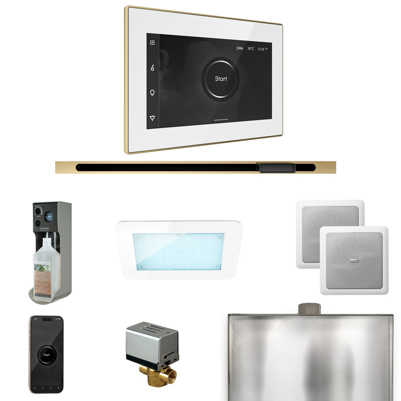 XDream Steam Shower Control Package with iSteamX Control and Linear Steamhead