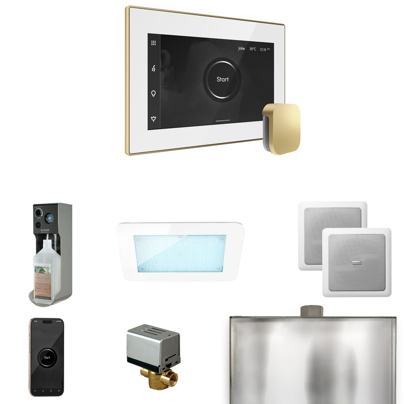 XDream Steam Shower Control Package with iSteamX Control and Steamhead