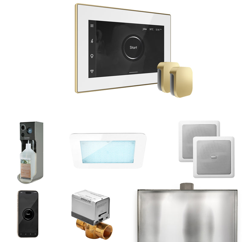 XDream Max Steam Shower Control Package with iSteamX Control and Steamhead