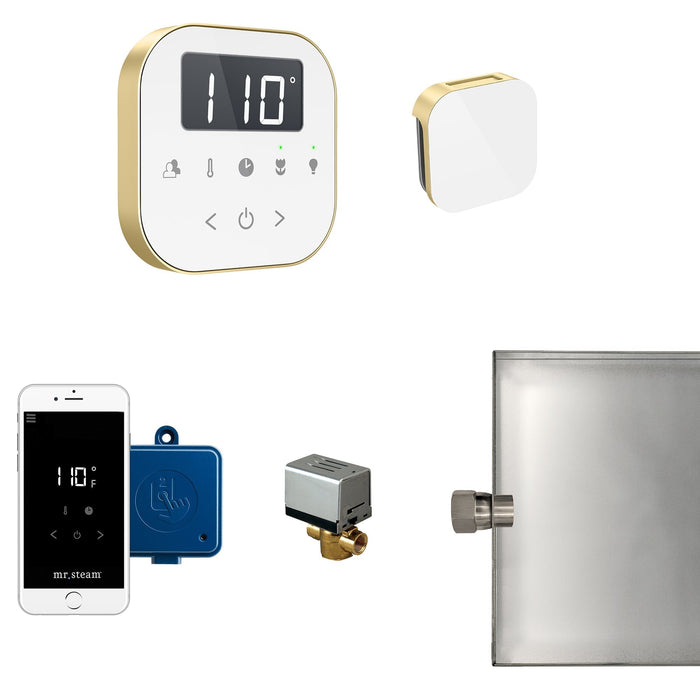 AirButler Steam Shower Control Package with AirTempo Control and Aroma Glass SteamHead - Sauna Heater Supply