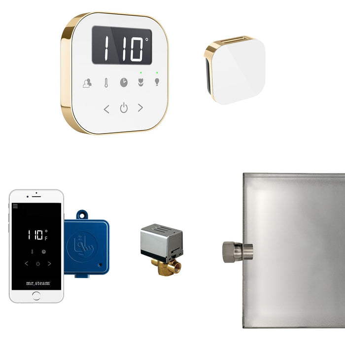 AirButler Steam Shower Control Package with AirTempo Control and Aroma Glass SteamHead - Sauna Heater Supply