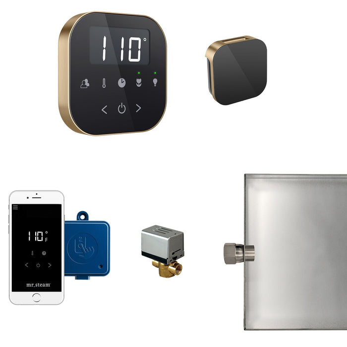 AirButler Steam Shower Control Package with AirTempo Control and Aroma Glass SteamHead - Sauna Heater Supply