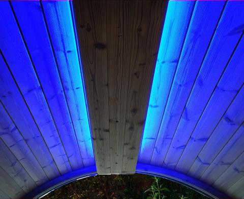 SaunaLife Emood Color Lighting for ERGO Sauna